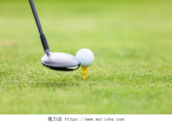 绿色场地上打高尔夫球的特写高尔夫球场球在开球前的驱动程序